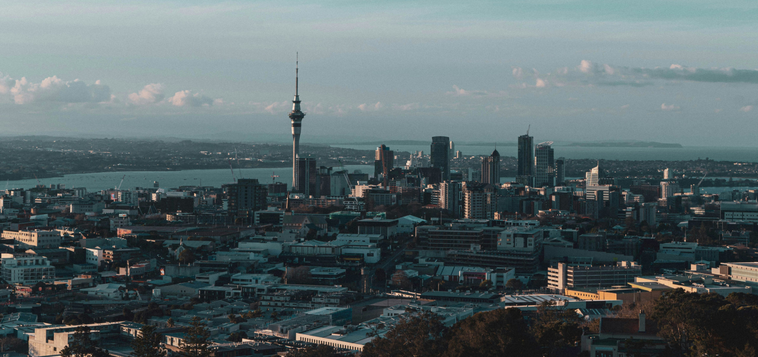 Auckland City Landscape